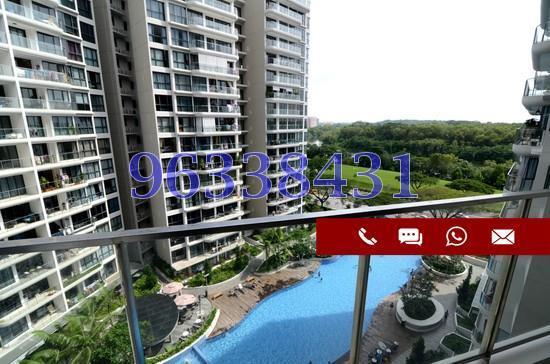 Riversound Residence (D19), Condominium #169116702